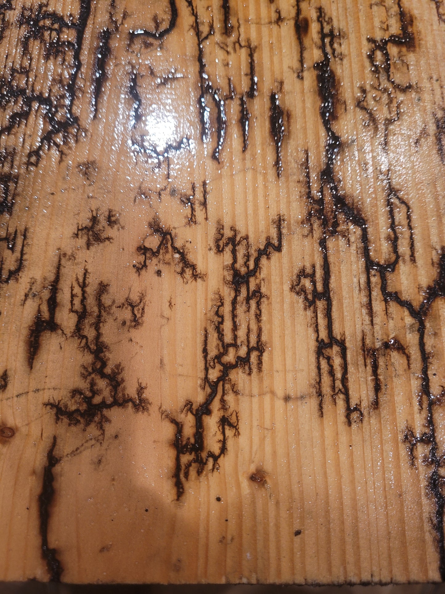 Kluckz Fractal wood art
